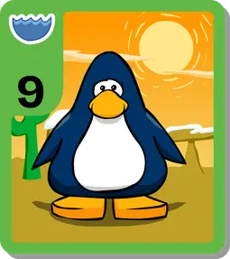 Western Sunset Background