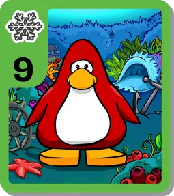 Coral Reef Background