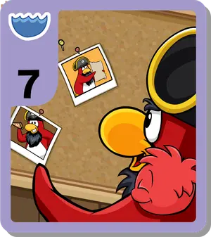 Rockhopper's Notice Board