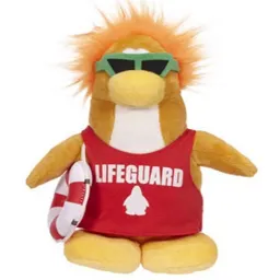 Lifeguard