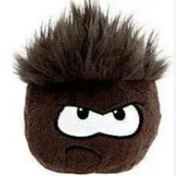 Black Puffle